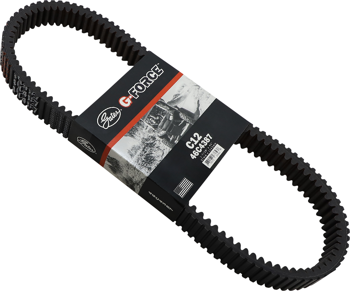 Drive Belt 2015 - 2023