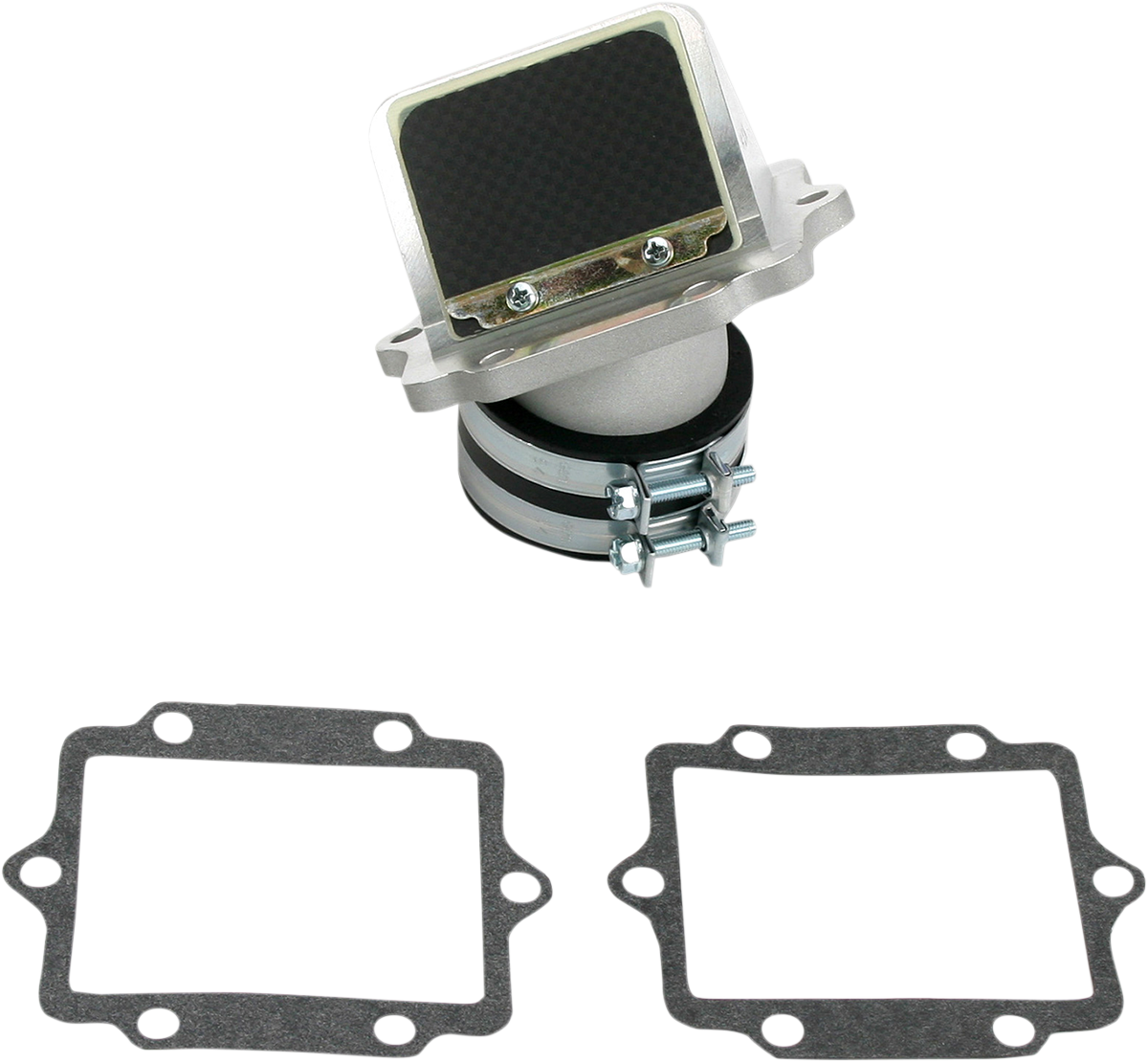 Rad Valve Reed Cage Assembly - Kawasaki 1989 - 2006