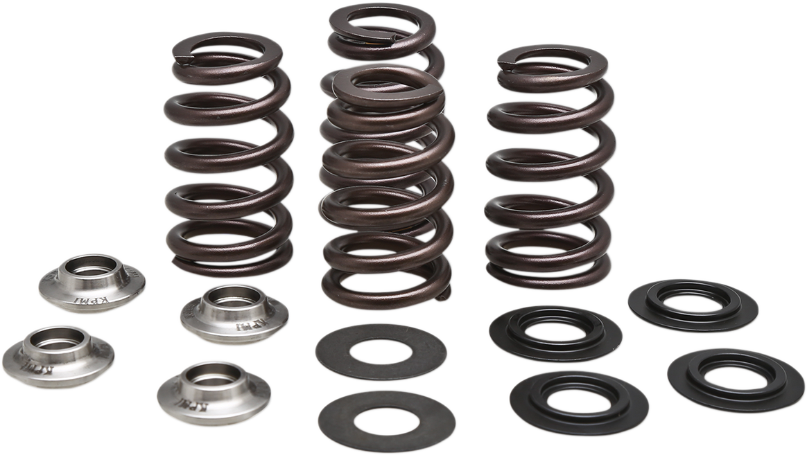 Beehive Valve Spring Kit 2013 - 2018