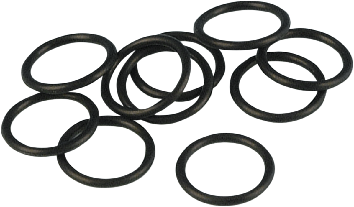 Crank Sensor O-Ring - Twin Cam 1999 - 2017