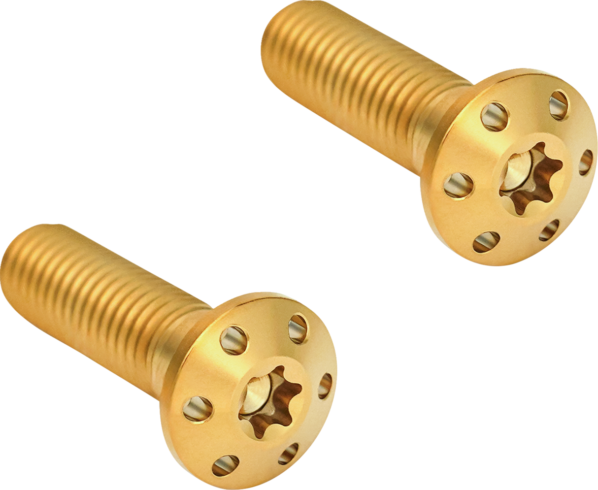 Mounting Bolts - Gold 2000 - 2024