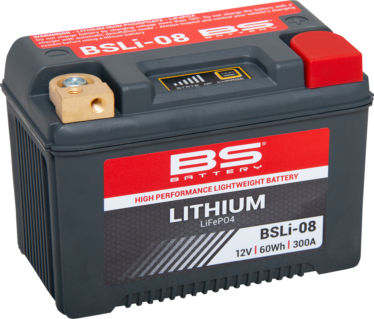Lithium Battery - BSLi-08 1984 - 2023