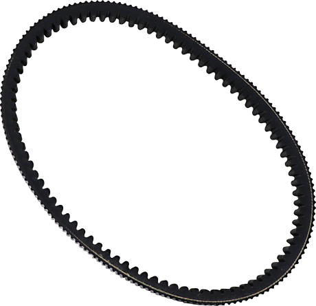 Drive Belt 2013 - 2019