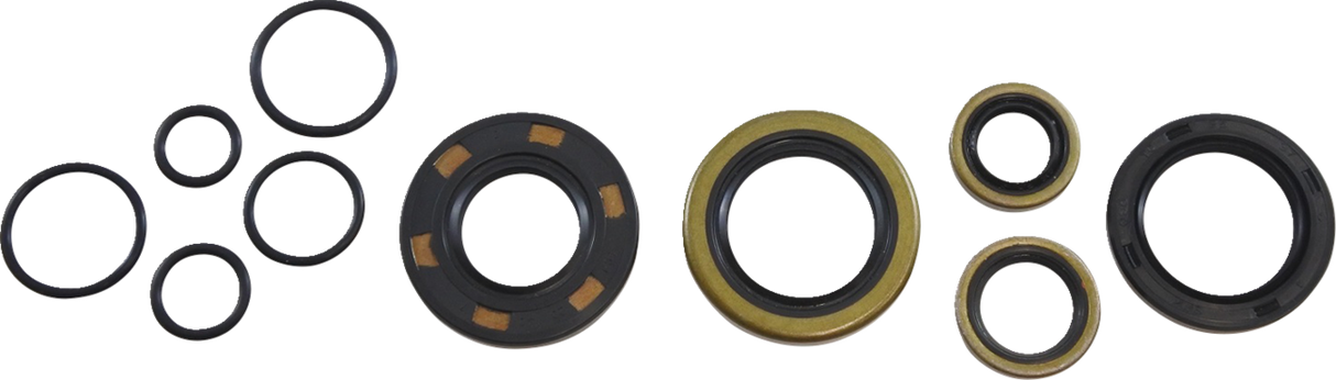 Oil Seal Kit - Kawasaki 1978 - 1979