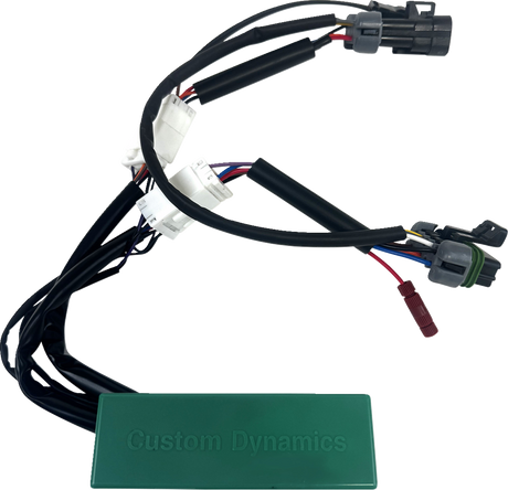 Module - Run/Turn/Brake - RZR Pro 2022 - 2024