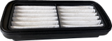 OEM Replacement Air Filter - Indian 2020 - 2024