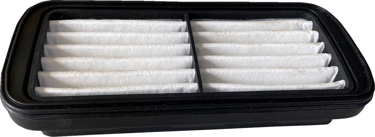 OEM Replacement Air Filter - Indian 2020 - 2024