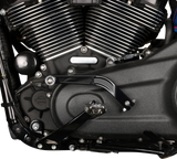 Shifter Peg - 1\" Shorter - Black 2018 - 2024