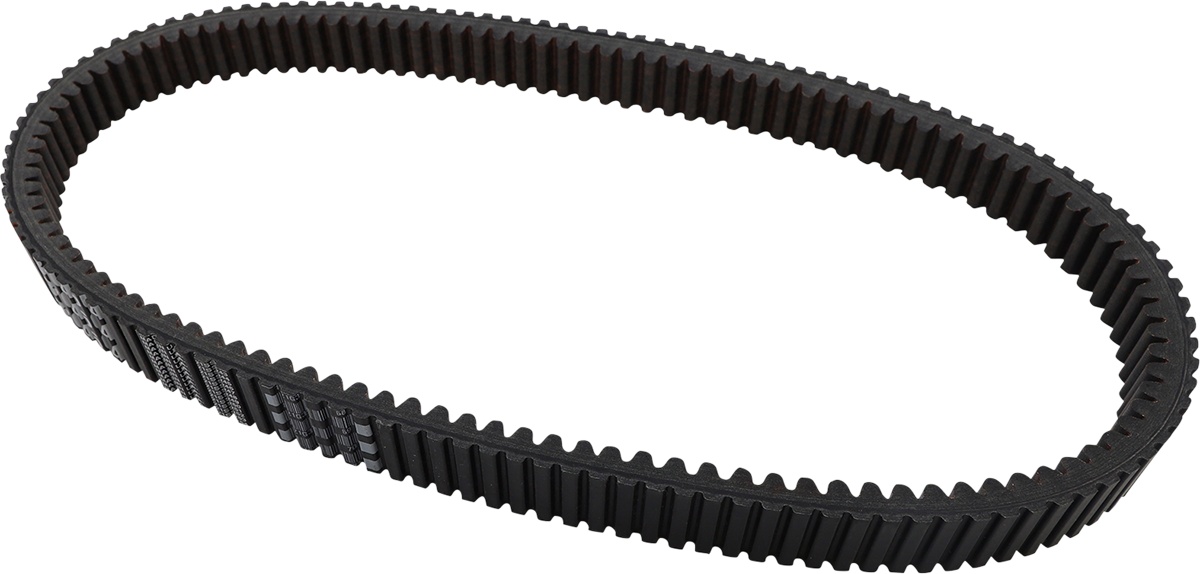 Drive Belt 2012 - 2019