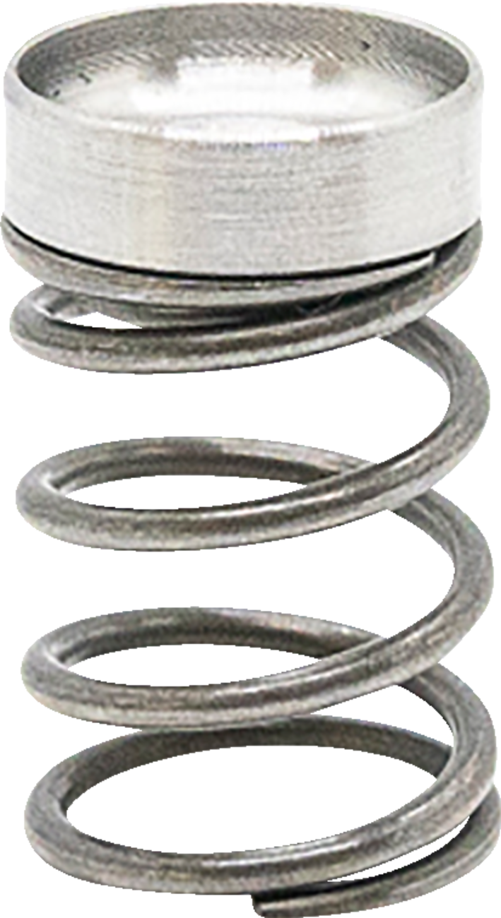 Adjuster Spring - High Speed - Long 2006 - 2022