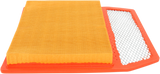 Air Filter - Can-Am 2011 - 2011