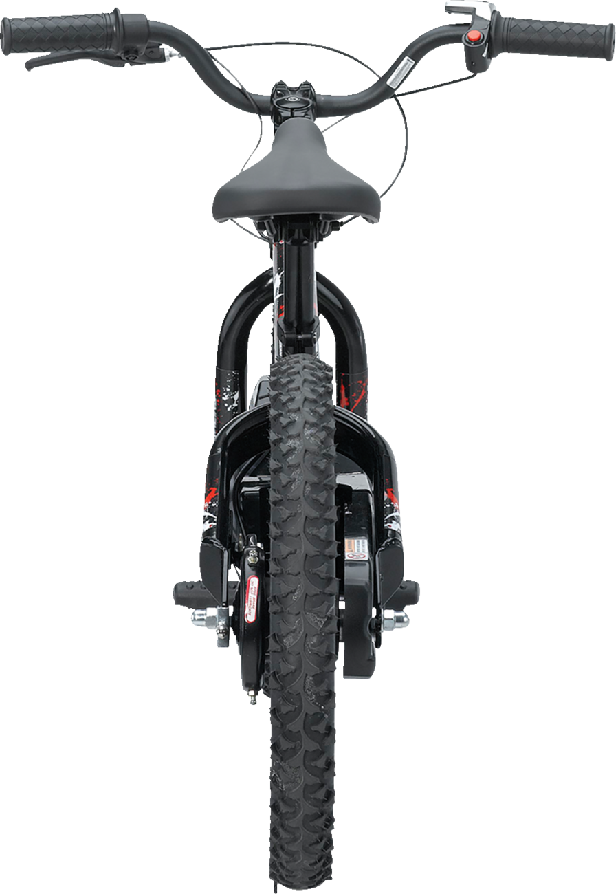 RS-16 E-Bike - Agroid - Balance