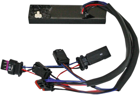 Smart Triple Play® Signal Conversion Module 2009 - 2013