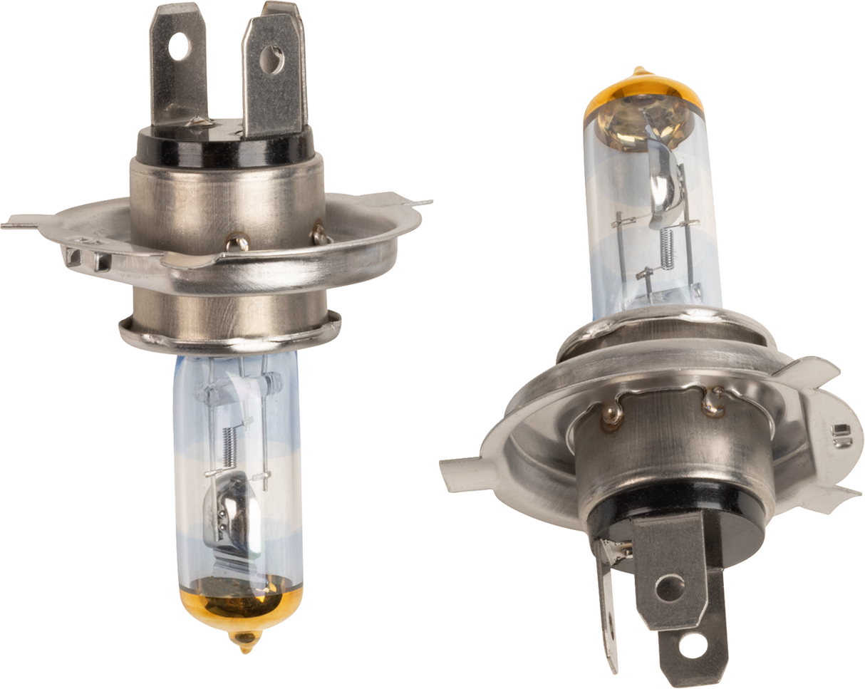Halogen Bulbs - H4/HB2 - 55/60 W