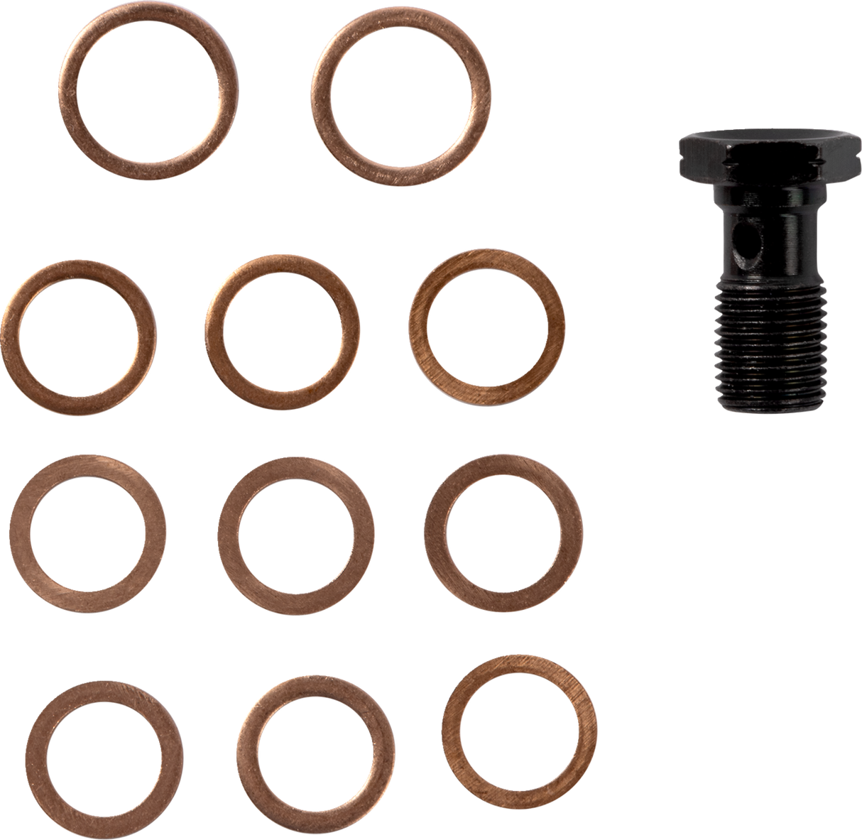 Brake Line - 24\"+ - \'15-\'17 FL 2023 - 2024