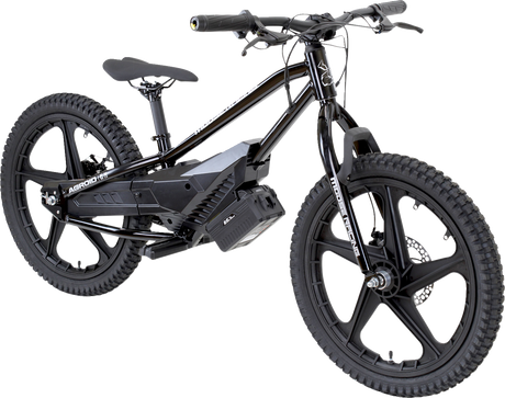 RS-20 E-Bike - Agroid - Balance