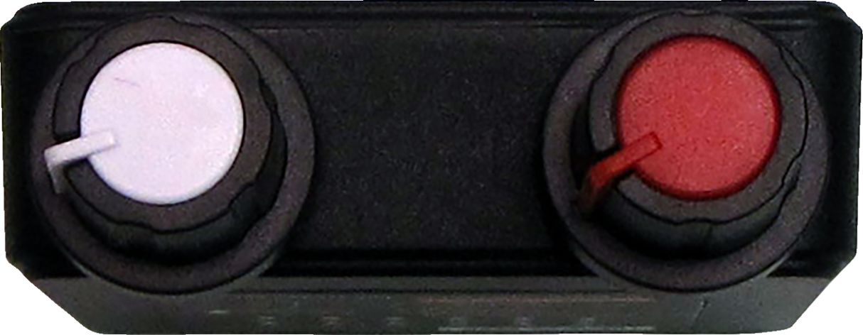 Dual Wireless Temp Controller - 12 V - Remote