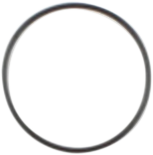 Starter Housing O-Ring - Big Twin 1991 - 1999