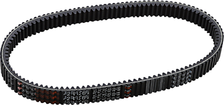 Drive Belt 2002 - 2023