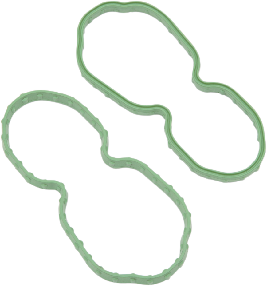 Fuel Pump Door Seal - Softail/Sportster 2007 - 2024