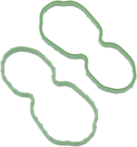 Fuel Pump Door Seal - Softail/Sportster 2007 - 2024