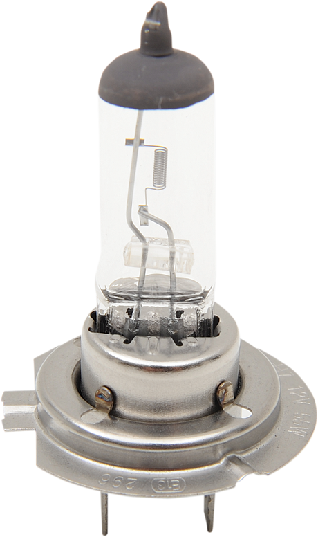 Halogen Bulb - H7 - 55 W