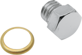 Drain Plug - Transmission/Motor Case/Oil Tank with Brass Gasket - Standard - Chrome