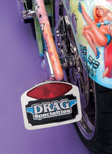 Taillight/Turn Signal/ License Plate Kit - Chrome