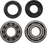 Main Bearing and Seal Kit - Maico