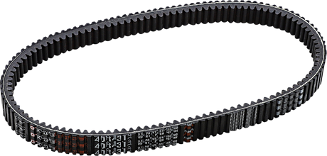 Drive Belt 2014 - 2023