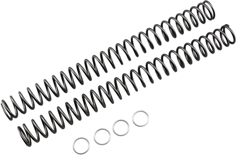Fork Springs - 0.46 kg/mm 2012 - 2013
