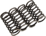 Clutch Springs - TTR 125/L 2000 - 2019