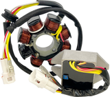 Lithium-Ion Compatible Charging Kit - KTM 2017 - 2019