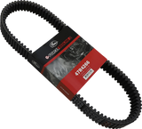 Drive Belt 2016 - 2023