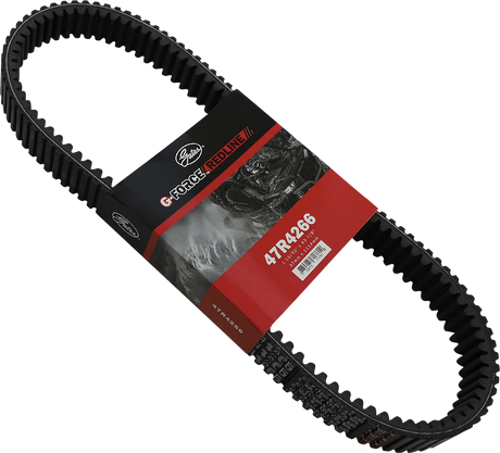 Drive Belt 2016 - 2023