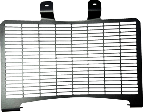 Radiator Cover - Black - Pan America 2021 - 2025