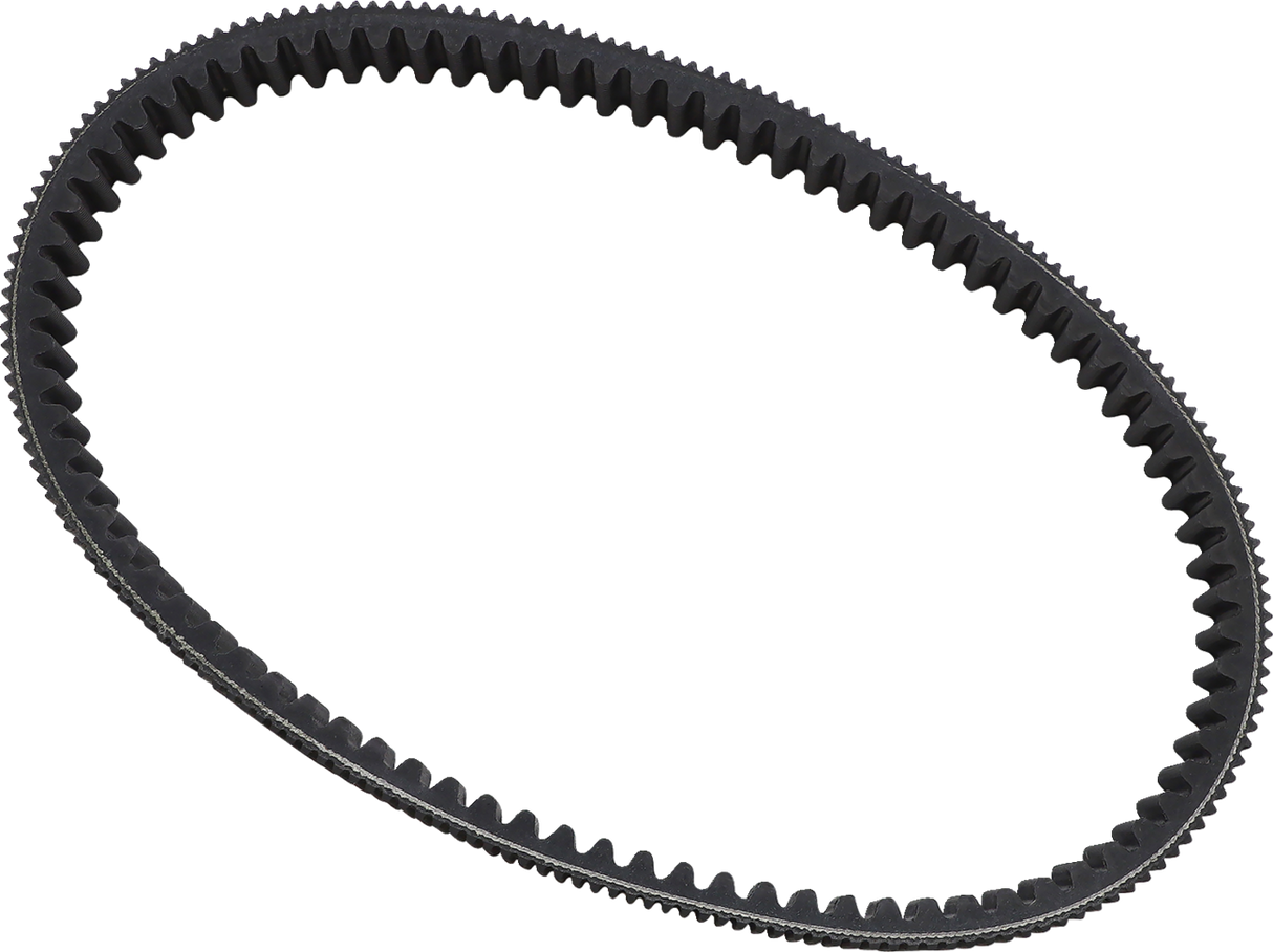 Drive Belt 2006 - 2023
