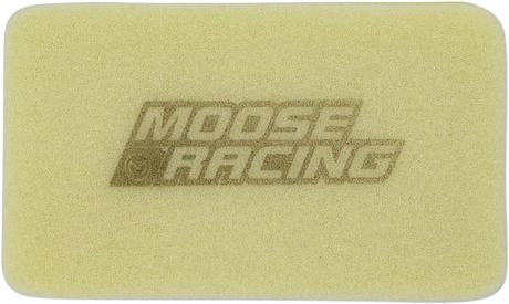 Air Filter - Polaris 2007 - 2022