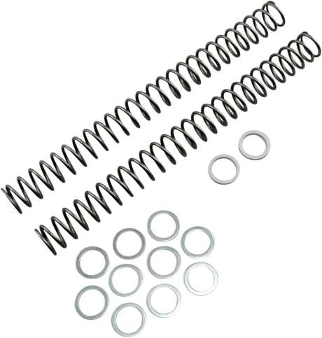 Fork Springs - 0.40 kg/mm 2014 - 2016