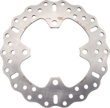 Brake Rotor 2011 - 2023