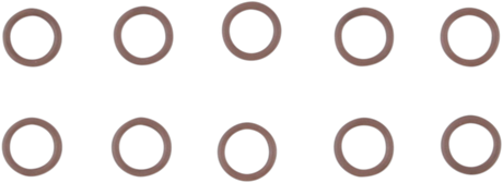 Cam Support O-Ring 1999 - 2006