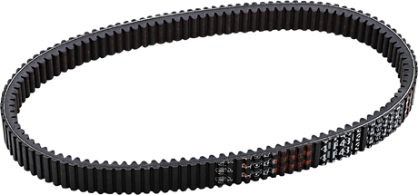 Drive Belt 2016 - 2019