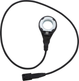 Brake Sensor - ABS - Rear 2018 - 2024