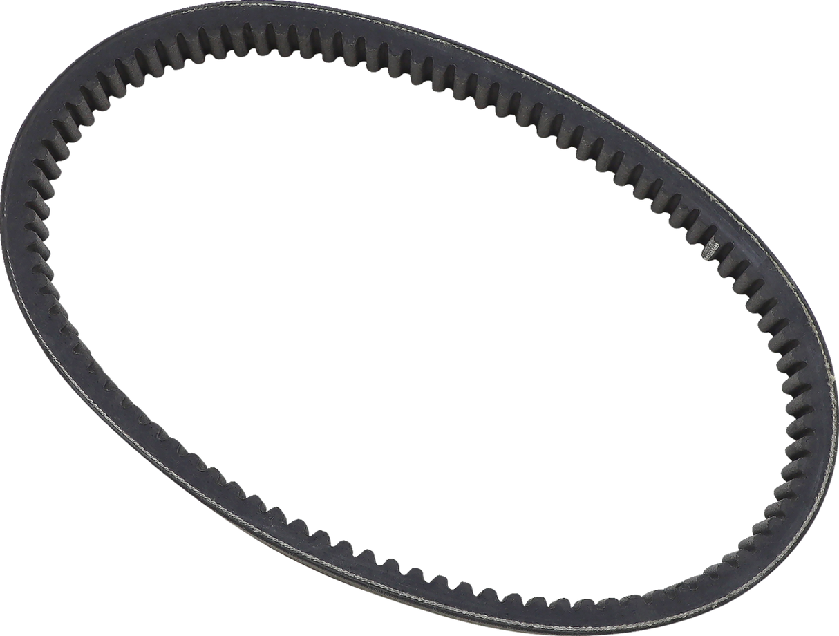 Drive Belt 2003 - 2023