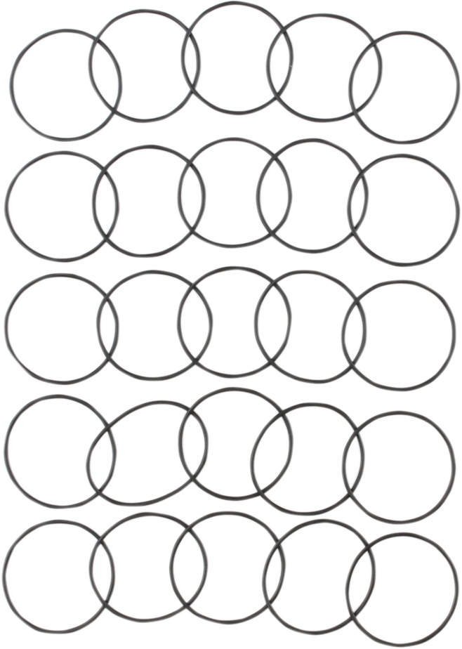 Starter Housing O-Ring Pack - EVO - 25 Pack 1991 - 1999