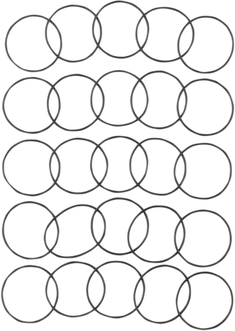 Starter Housing O-Ring Pack - EVO - 25 Pack 1991 - 1999