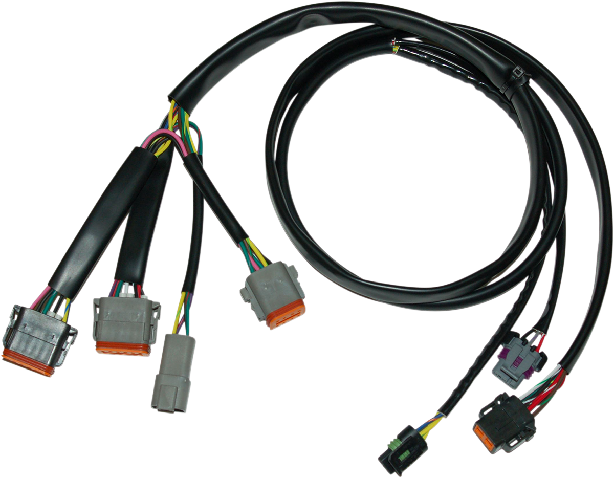 Ignition Wiring Harness - Harley Davidson 1999 - 1999