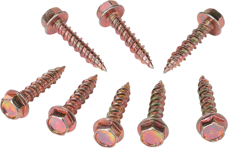 Clutch Cover Screw - Polaris 2014 - 2021