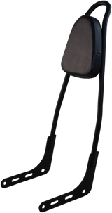 One-Piece Sissy Bar - Black - With Pad 2018 - 2023