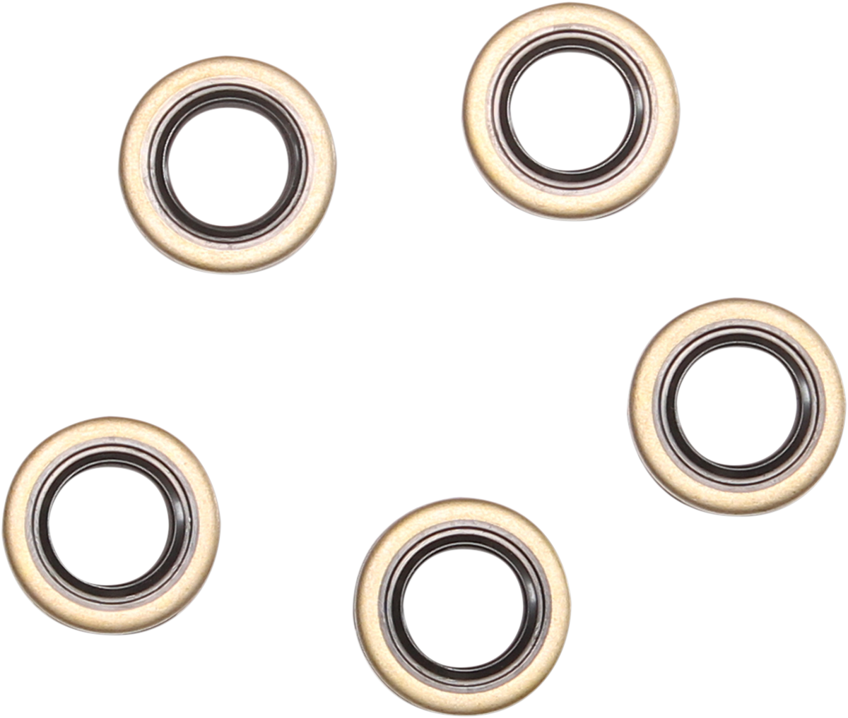 Double Lip Seal 1969 - 1999